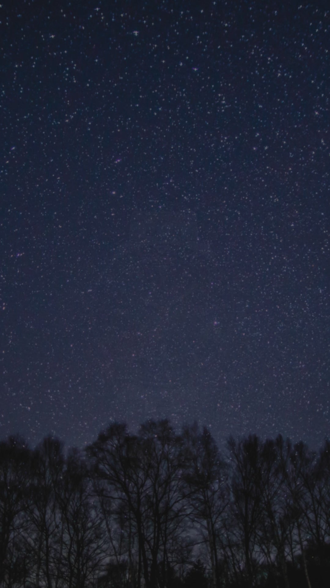 M42 ダイバー1964 2nd エディション F6 デイト 200ｍ RK-AU0602E